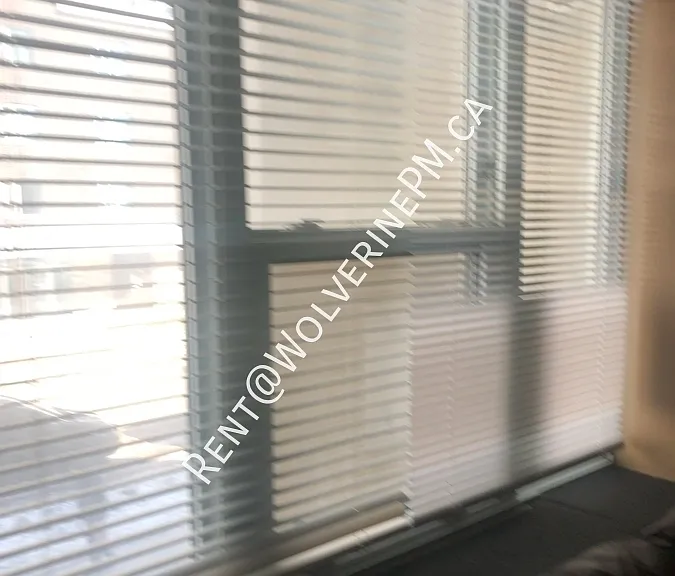 251 Lester St #201-5 — Photo 4