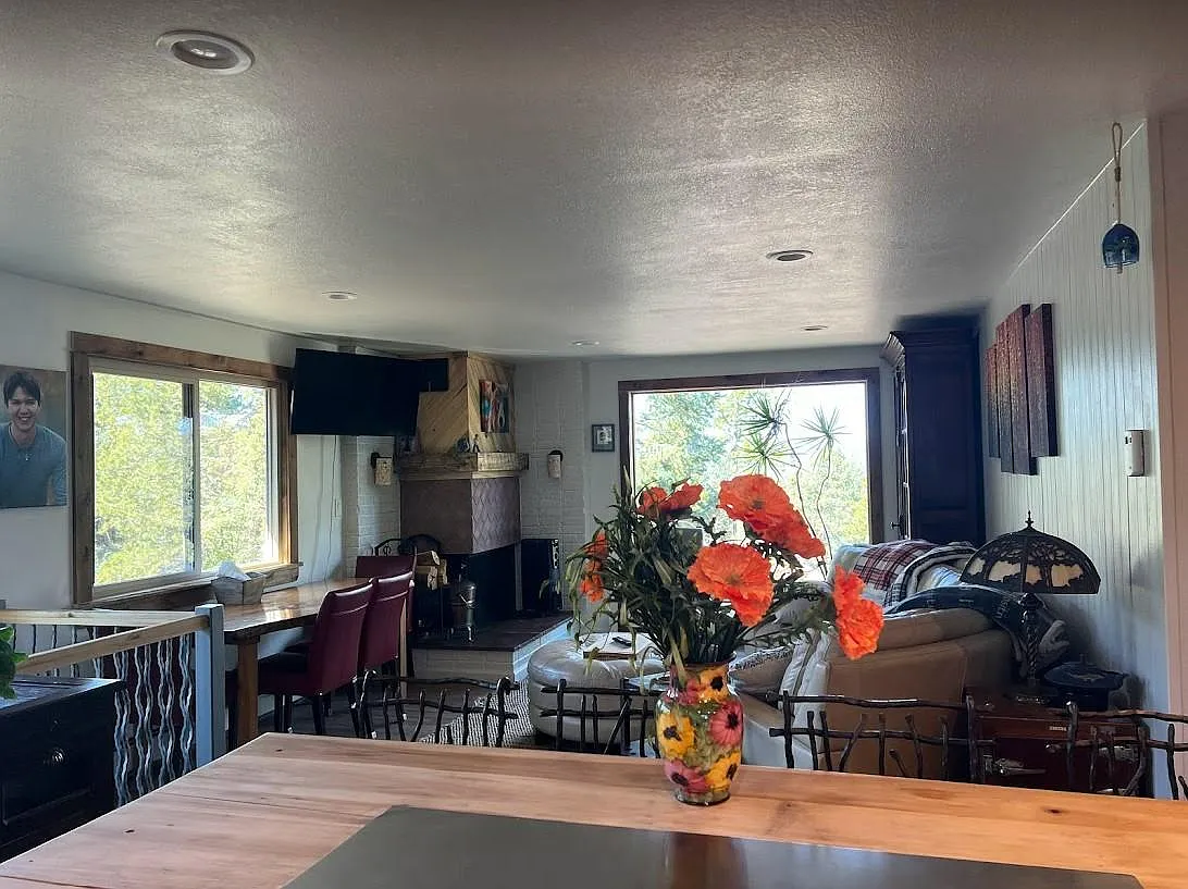Feel like you are sitting outside in open living area with gorgeous views - 9165 Jill Dr