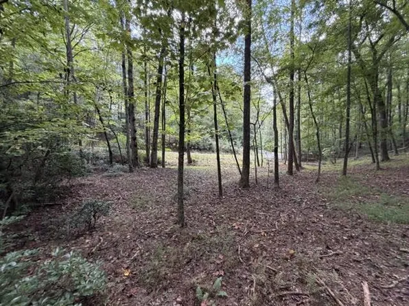 133 Seneca Way, Ellijay, GA 30540