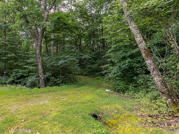 2nd image of Lot 1 Trailhead Way