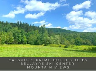 0 Brush Ridge Rd, Fleischmanns, NY 12430