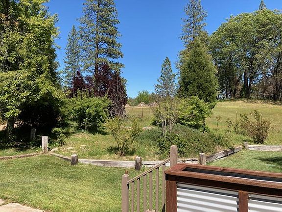 Landscaped yard with fruit trees