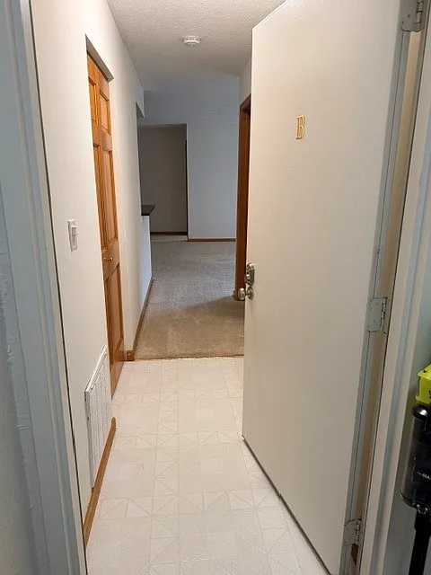 2 bed, 1100 sqft, $1,375 — Photo 2