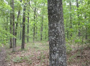 E Wirth Rd, Mammoth Spring, AR 72554