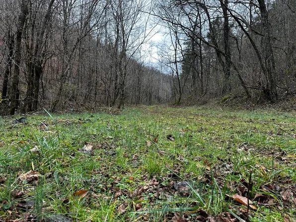 Kingdom Rd, Duffield, VA 24244
