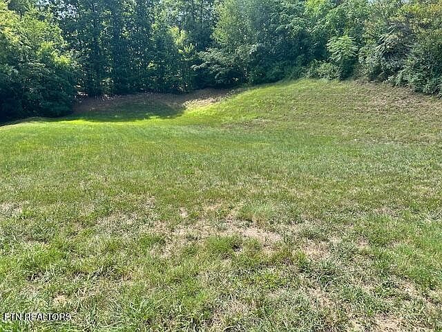 2nd image of 411 Laurel Ridge Ln