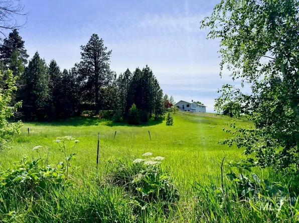 1165 Paradise Ridge Rd, Moscow, ID 83843