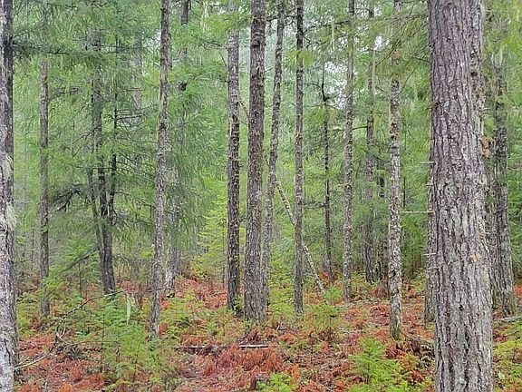 5th image of 0 Lot 1 Sasquatch Lane