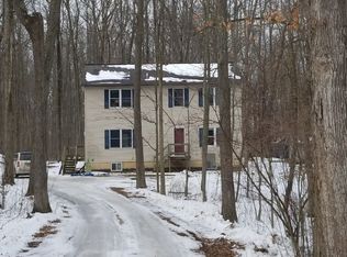 10462 Reynolds Rd, Horton, MI 49246