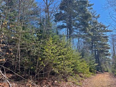 0 Boggy Brook Road, Ellsworth, ME, 04605