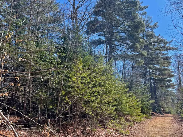 0 Boggy Brook Road, Ellsworth, ME 04605