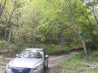 Licklog Rd, Bryson city, NC 28713