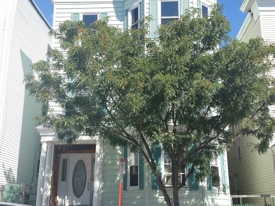 2nd image of 436 E 6th St