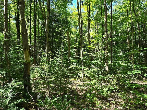 5th image of 0WP Ridge Rd