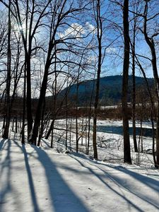 0 Ellen Ware Road, Townshend, VT, 05353