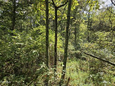 Highway 70 N, Rogersville, TN, 37857