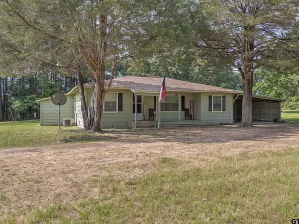440 Vz County Road 4905, Ben Wheeler, TX 75754