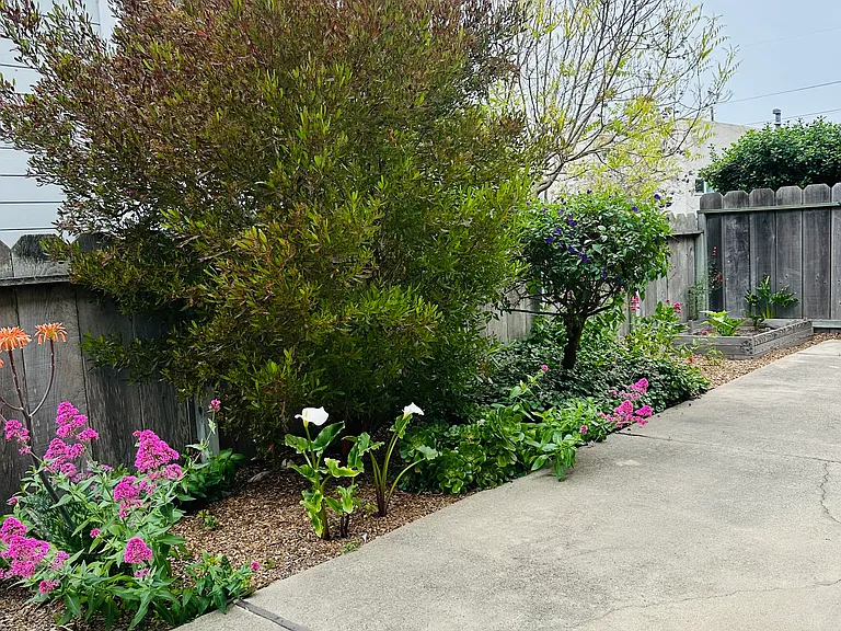 542 Sloat Ave #4 — Photo 7