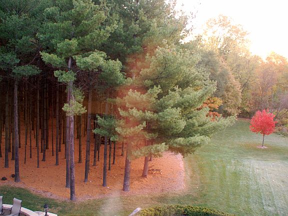 3rd image of 21110 Rosewood Ct