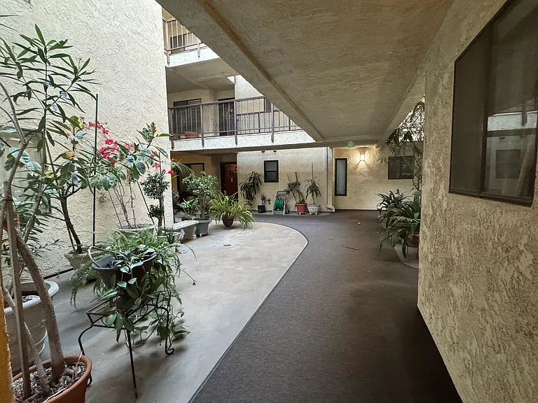 Walkway to front door (off camera on right side). The courtyard is open to the air and the first floor common space houses several house plants.