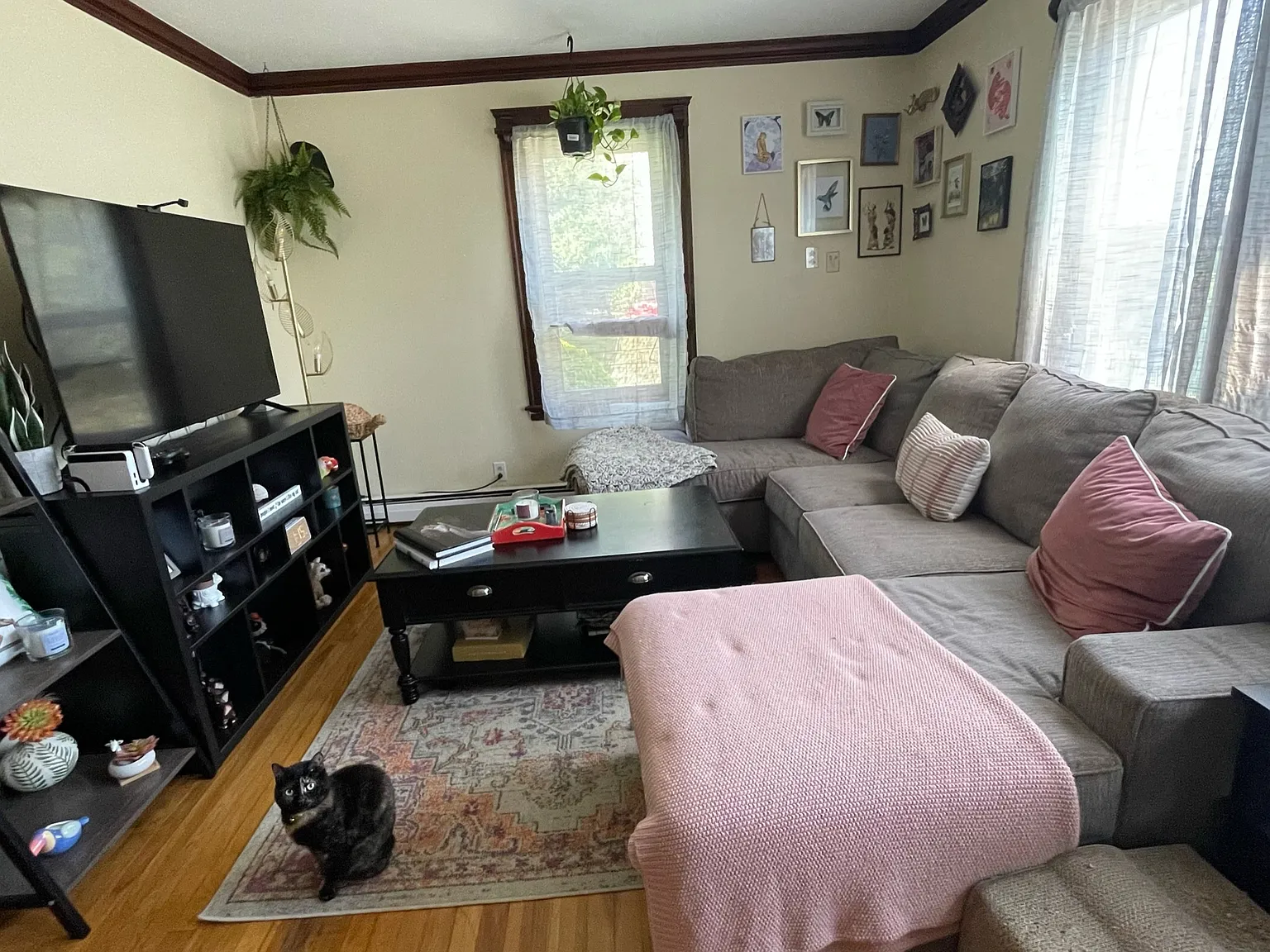 3 bed, 1203 sqft, $3,100 — Photo 2