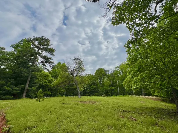 788 Beavers Dr, Morganton, GA 30560