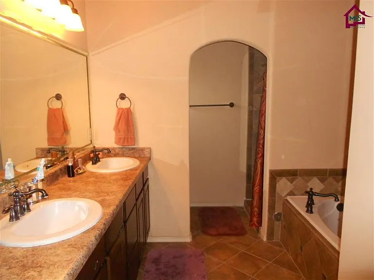 Master Shower Area