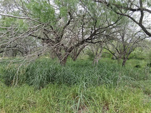 0 Swinney Switch Shores Rd, Mathis, TX 78368