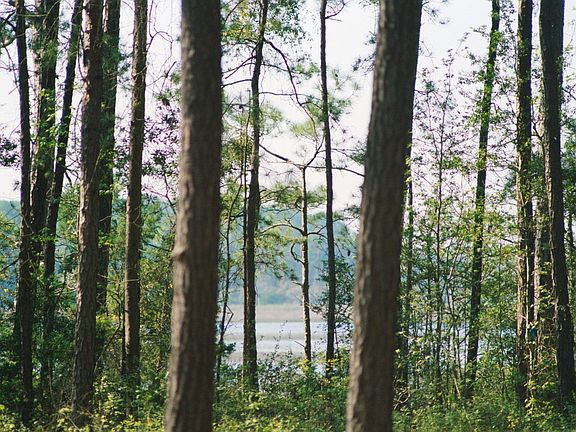 Lot 13 Berkeley Hall