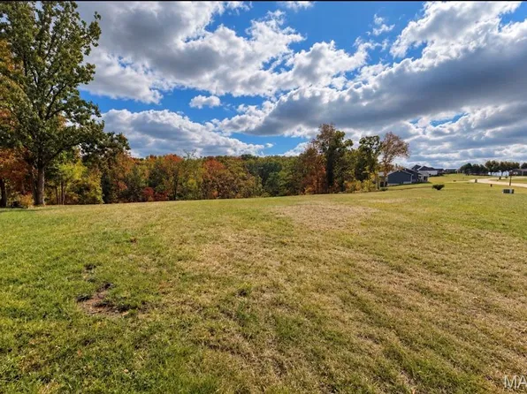 1010 E Stonebridge Pl, Festus, MO 63028