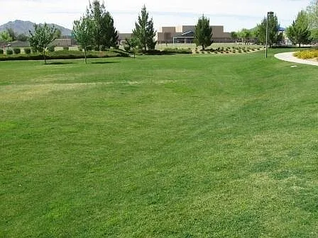 2965 E Blue Ridge Way — Photo 13