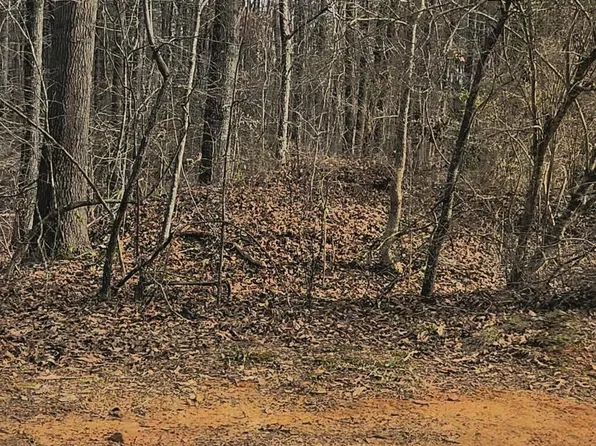 0 Muriel Dr #17, Vance, AL 35490