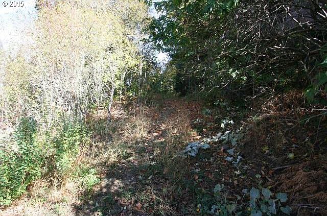 2nd image of 0 Highway 141 Lot 2