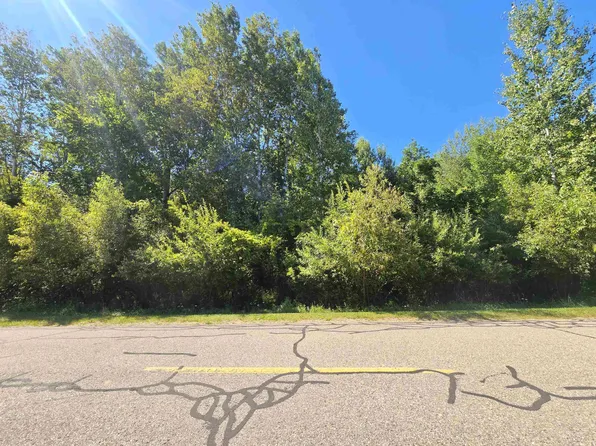 0 N Salisbury Dr, Gladwin, MI 48624