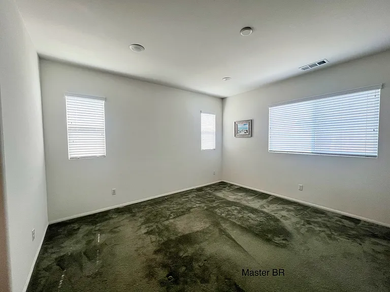 Primary Bedroom (downstairs)
