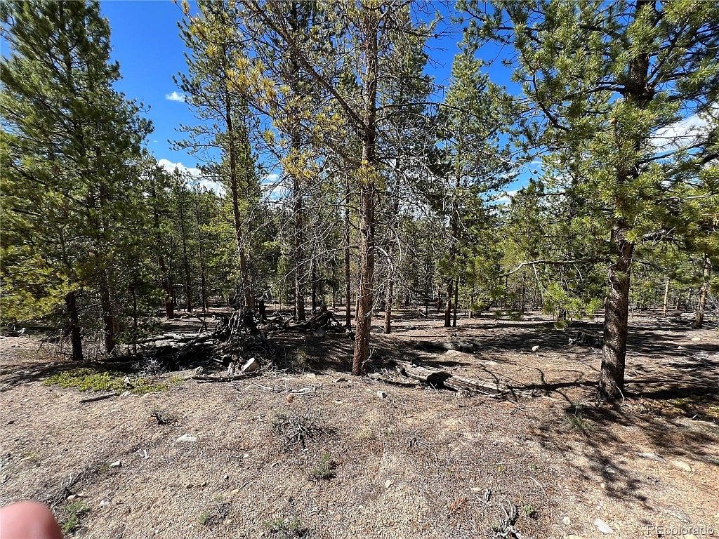 123 Lodgepole Dr, Leadville, CO 80461 | Zillow