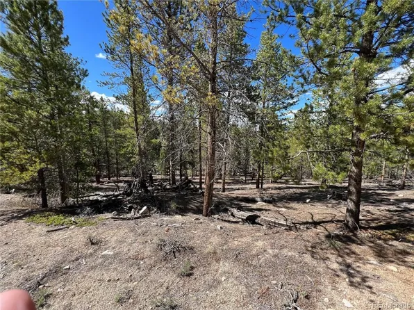 123 Lodgepole Dr, Leadville, CO 80461