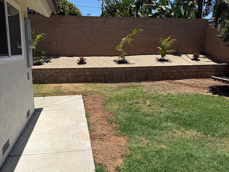 Backyard Will be seeded for new grass