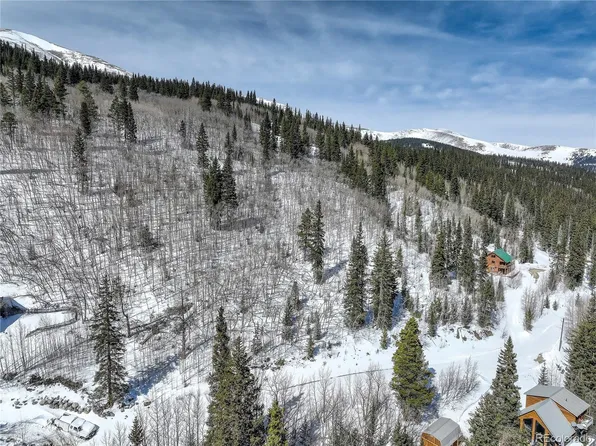 1287 Quartzville Road, Alma, CO 80420