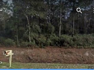 9710 Pocklington Ave, Hastings, FL 32145