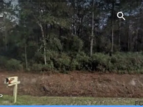 9710 Pocklington Ave, Hastings, FL 32145