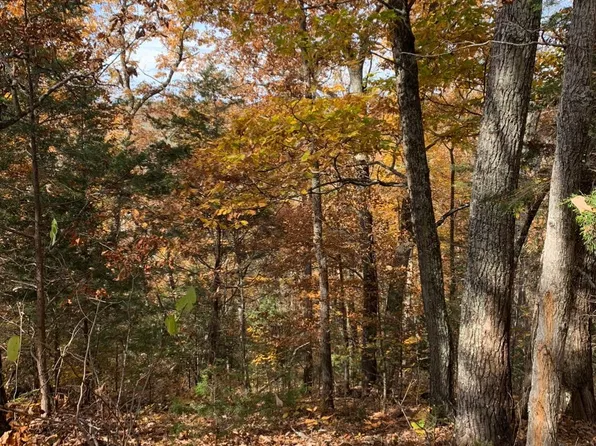 0 Bear Creek Rd, Bybee, TN 37713