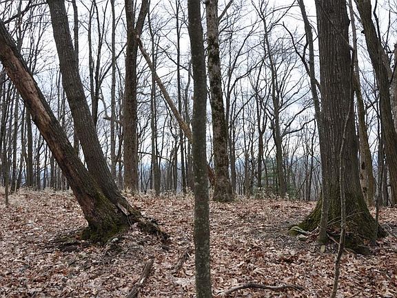 5th image of 289 Sanderlin Mountain Dr Lot 5044