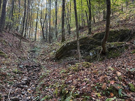 3rd image of 270 Cb Newton Rd