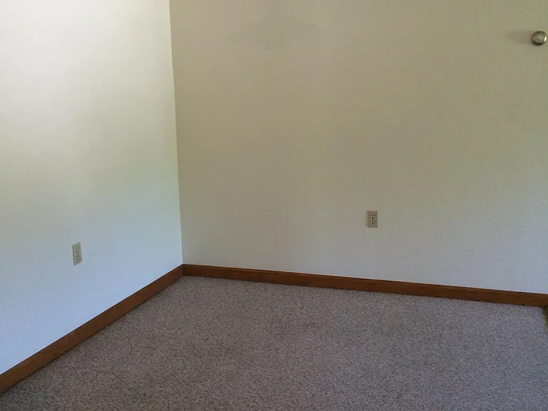 203 Palm St — Photo 19