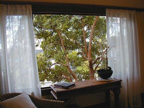 View through window in Living Room