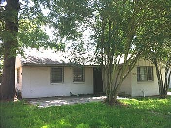 Shade Trees in Front