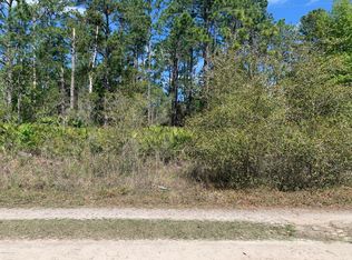 102 Maverick Trl, Interlachen, FL 32148
