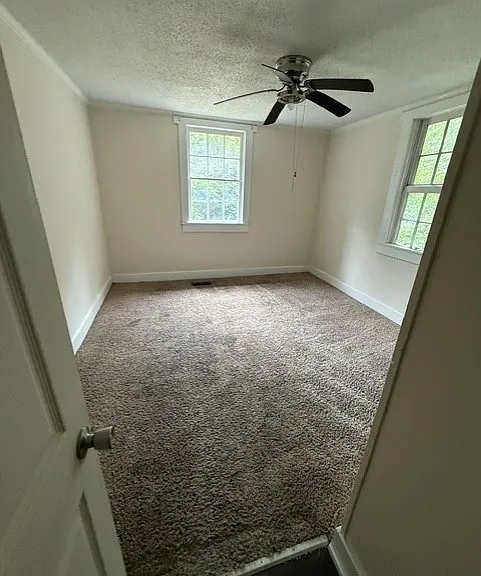 114 Diggs Ct — Photo 11