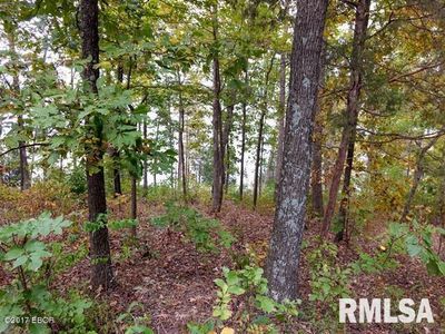 0 Mark Dr, Goreville, IL, 62939